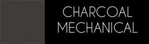Mechanial-Eye-Pencil-Charcoal